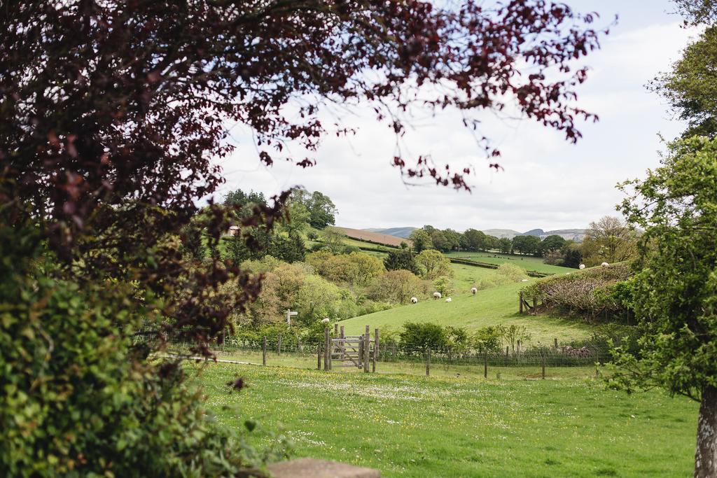 Pwllgwilym B & B Builth Wells Exteriör bild