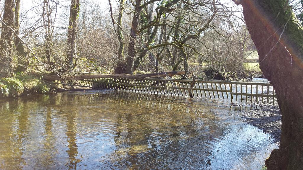 Pwllgwilym B & B Builth Wells Exteriör bild