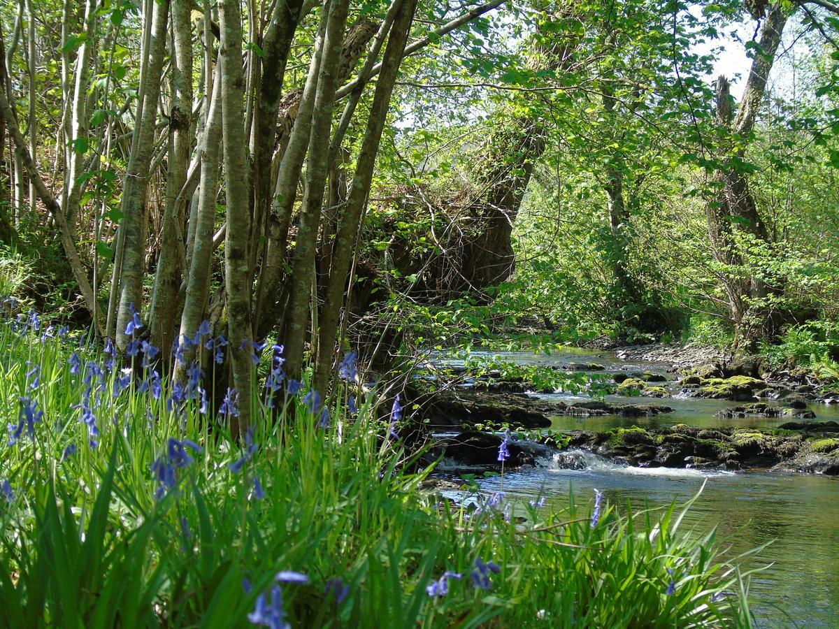 Pwllgwilym B & B Builth Wells Exteriör bild