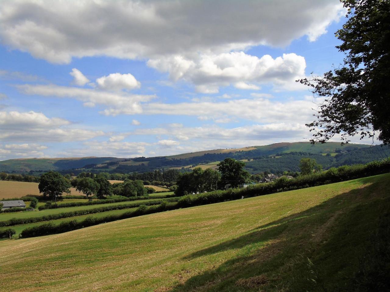 Pwllgwilym B & B Builth Wells Exteriör bild