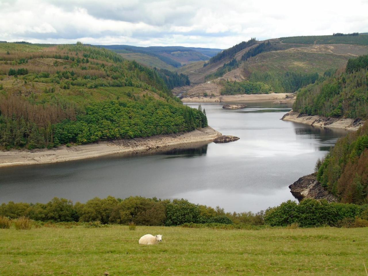 Pwllgwilym B & B Builth Wells Exteriör bild