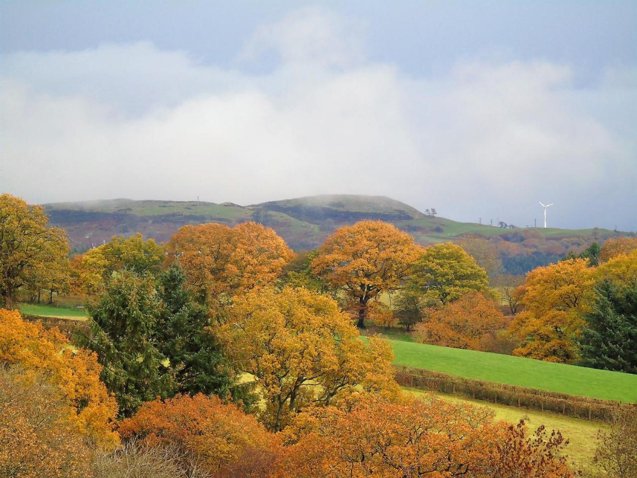 Pwllgwilym B & B Builth Wells Exteriör bild